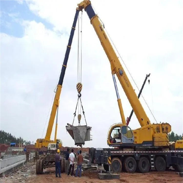 新河小型吊机出租电话|厂房设备吊装方案|24小时服务覆盖